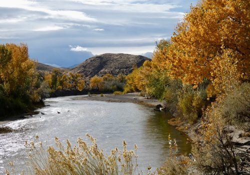 Lyon County